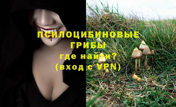 PSILOCYBIN Алзамай