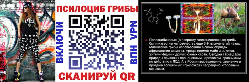 Псилоцибиновые грибы прущие грибы  закладки  Новоузенск 