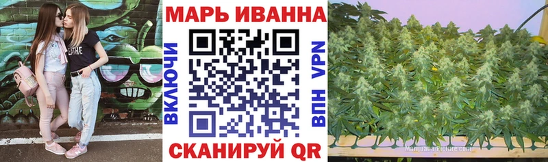 Марихуана Bruce Banner  кракен   Новоузенск 